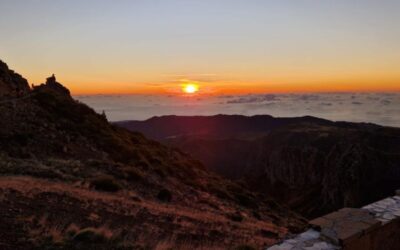 The Ultimate Madeira Wine Tour: Taste the Island’s Best Vintages